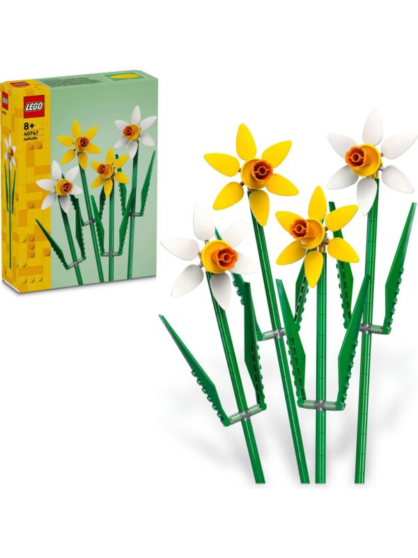 LEGO® Iconic Nergis (40747)