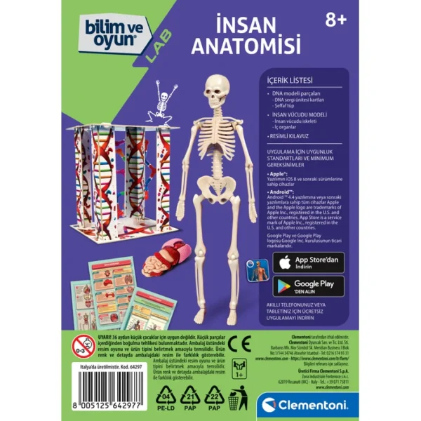 Bilim ve Oyun - İnsan Anatomisi 64297 - Görsel 3